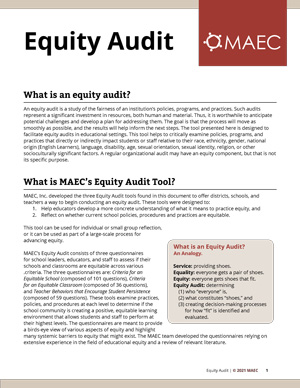 MAEC Equity Audit